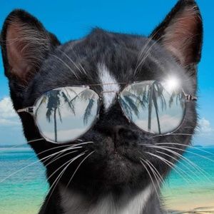 Meet your Posher, Georgianna